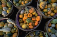 baskets of vegetables